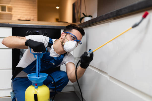 Best Best Pest Control Companies  in Johnston, IA