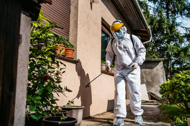 Best Affordable Pest Control Services  in Johnston, IA