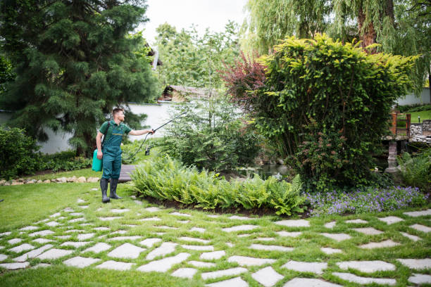 Best Local Pest Control Services  in Johnston, IA