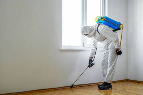 Best Pest Control Near Me  in Johnston, IA