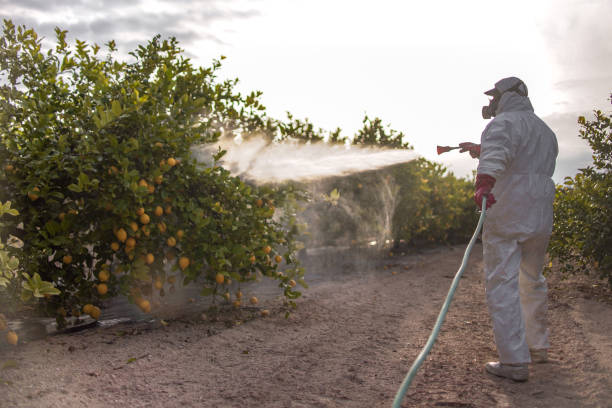 Best Ant Control Services  in Johnston, IA