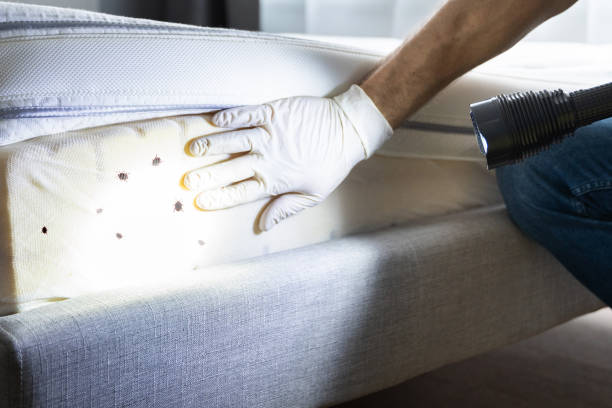 Best Cockroach Control Services  in Johnston, IA