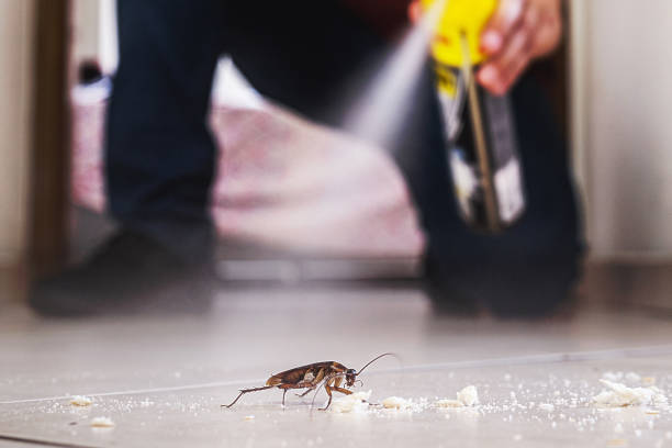 Best Affordable Pest Control Services  in Johnston, IA